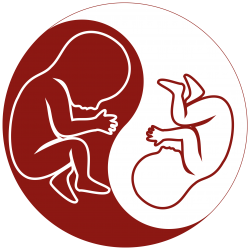 TAPS Support Foundation logo