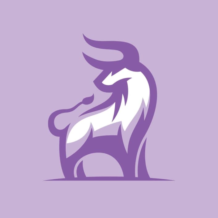 Team Lopez Foundation logo